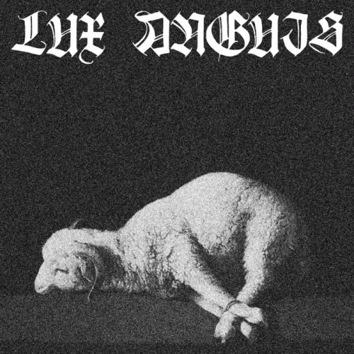 Lux Anguis : Where the Light Ends